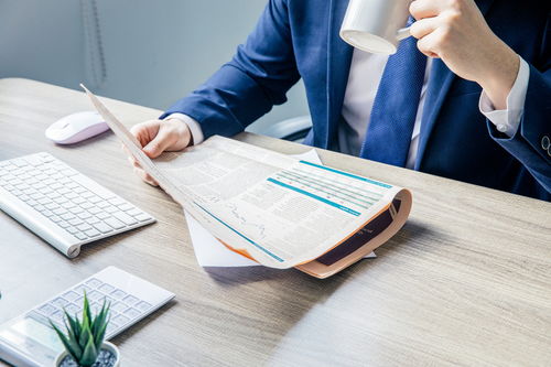 商標(biāo)評(píng)審案件的類型與項(xiàng)目策劃及公關(guān)服務(wù)的關(guān)系