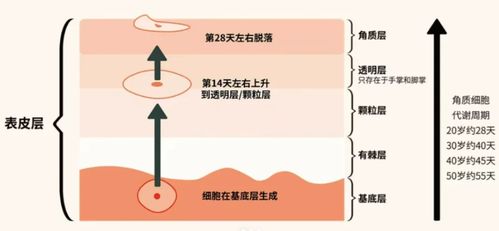 2024祛斑段位榜 寶藏級(jí)產(chǎn)品親測(cè)，還你干凈無(wú)瑕肌膚